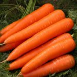 10 خاصیت فوق العاده هویج برای سلامتی که باید بدانید